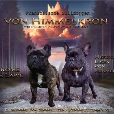 von Himmelkron cover