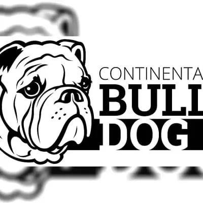 Snowflakebulls cover