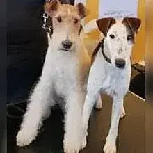 vom Katzbachtal cover