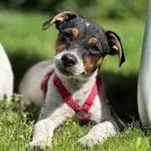 Grac’n Kelly cover