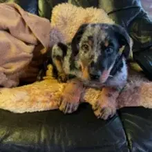 les beaux travailleurs cover