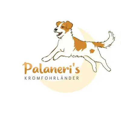 Palaneri’s cover