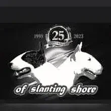 of slanting shore cover