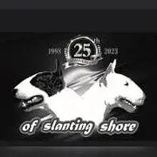 of slanting shore cover