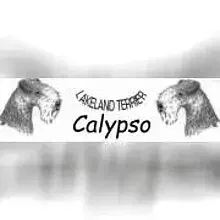 Calypso cover