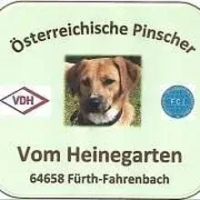 vom Heinegarten cover