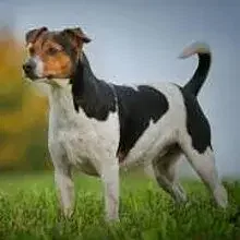 fra klostergården cover