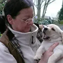 Faithful Connection cover