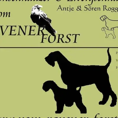 vom Ravener Forst cover