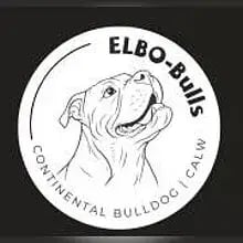 Elbo-Bulls cover