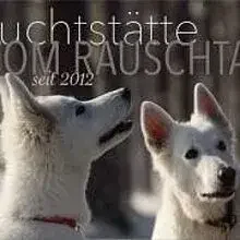 vom Rauschtal cover