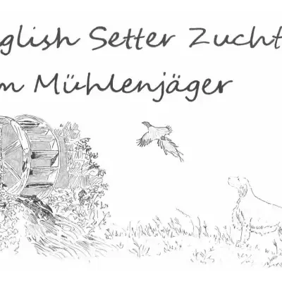 vom Mühlenjäger cover