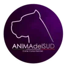 Anima Del Sud cover