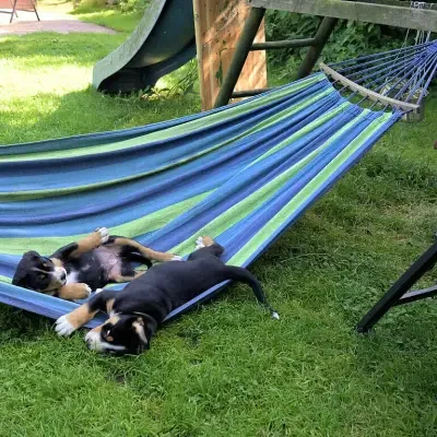 aus der Wistedter Rappelkiste cover