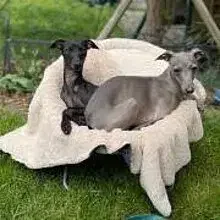 from manor at mountain cover