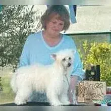 The Bushwalker cover