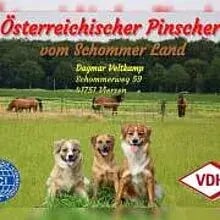 vom Schommer Land cover