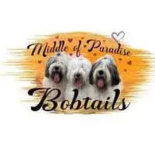Middle of Paradise cover