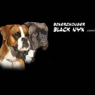 von Black Nyx cover