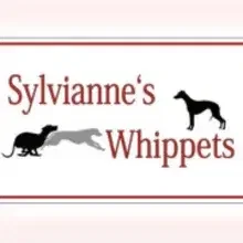 Sylvianne’s cover