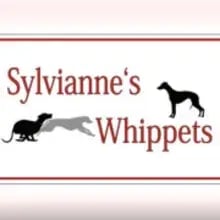 Sylvianne’s cover