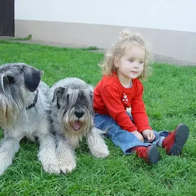 v. Achterplätzchen cover