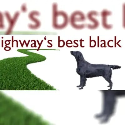 Highway’s best black cover