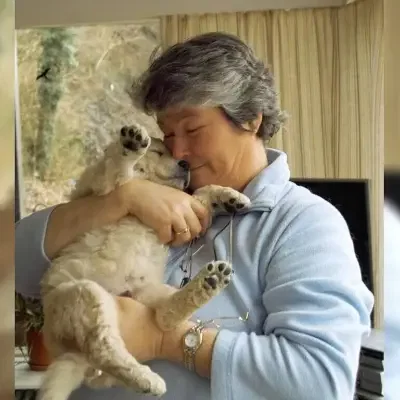 vom Drachenfels cover