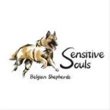 Sensitive Souls cover