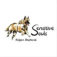 Sensitive Souls cover
