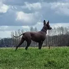 Beautiful Surprise cover