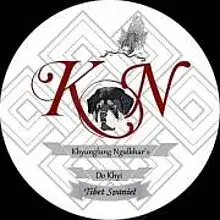 Khyunglung Ngulkhar’s cover