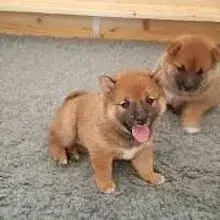 von der Kleinen Laber cover