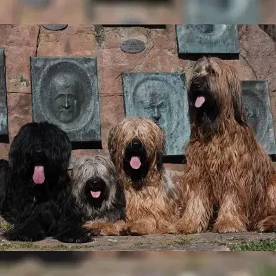 von der frechen wilden Hummel cover