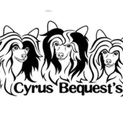 Cyrus Bequest’s cover
