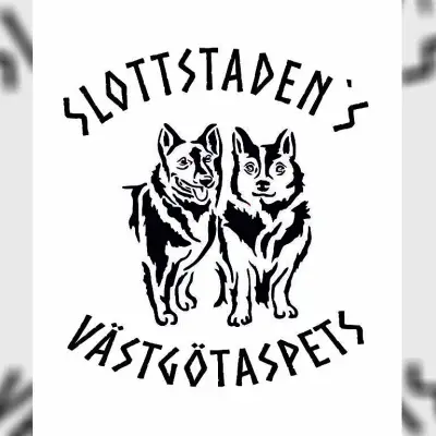 Slottstaden’s cover