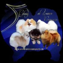 Glory of Loves cover