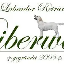 vom Biberwald cover