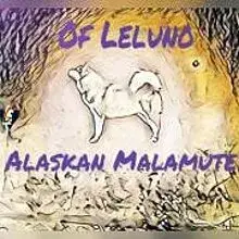 of Leluno cover