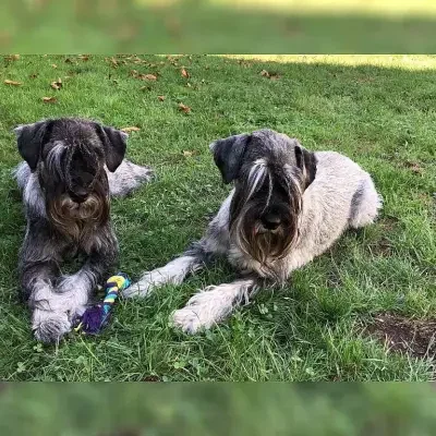 von der Ketscher Allee cover