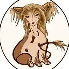 Like Ice in the Sunshine cover