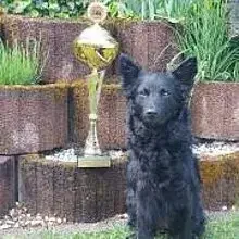 vom Groaß Hoob cover