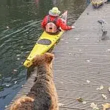 of Impy’s Garden cover