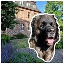 vom Selbolder Schloss cover