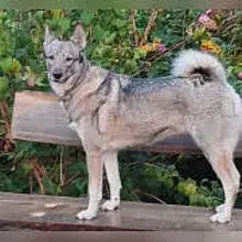 von der Rövershäger Heide cover