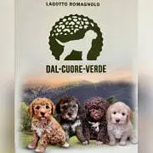 dal cuore verde cover
