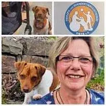 vom Wilsenbach cover