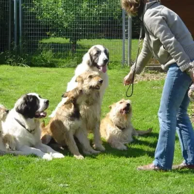 Valle de los Volcanos cover