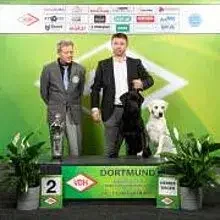 of Winter’s Village cover