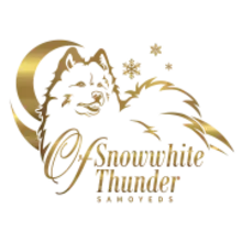 of snowwhite thunder cover